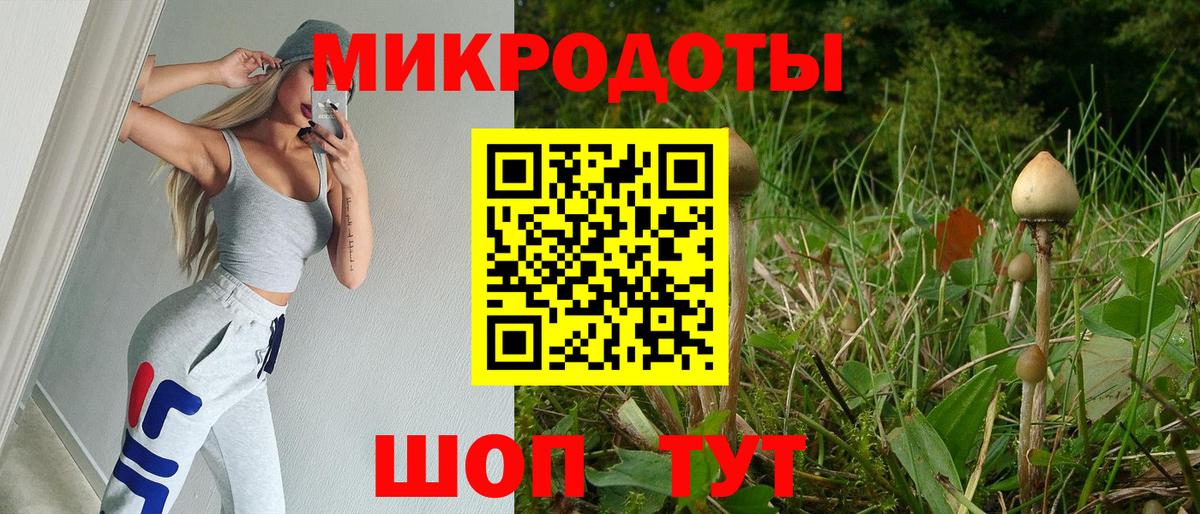 Галлюциногенные грибы Psilocybe  Псилоцибиновые грибы Psilocybine cubensis  Осинники  Вход с VPN 